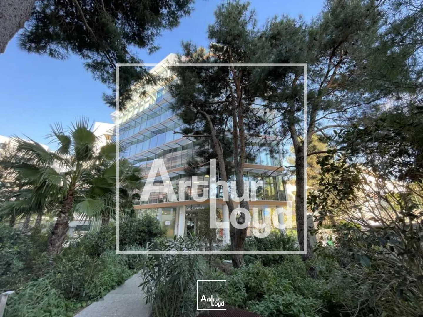 Bureaux - Location - CASTELNAU LE LEZ - 34170 - 79.66-79.66 - 7956243