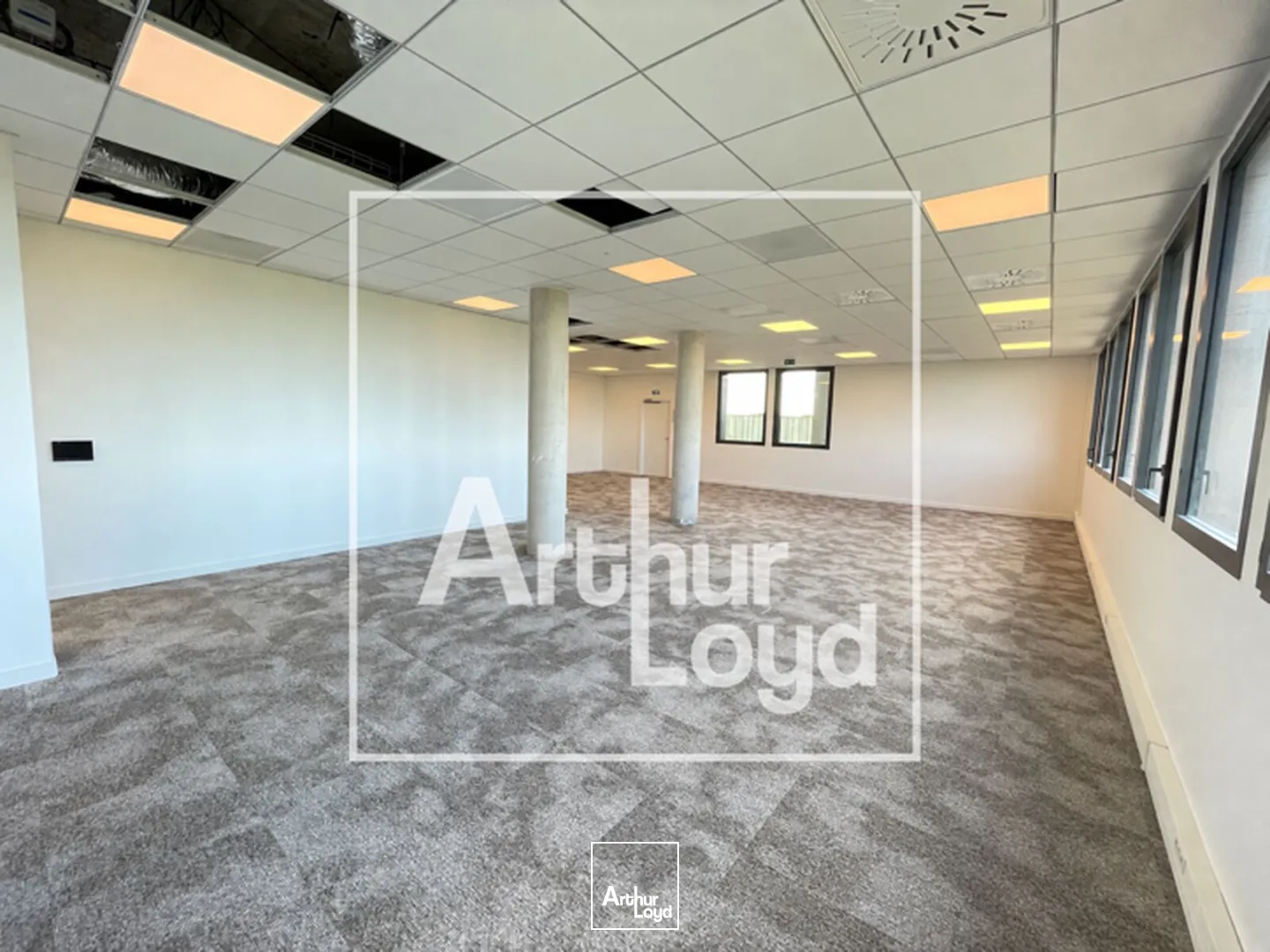 Bureaux - Location - CASTELNAU LE LEZ - 34170 - 119-119 - 7956282