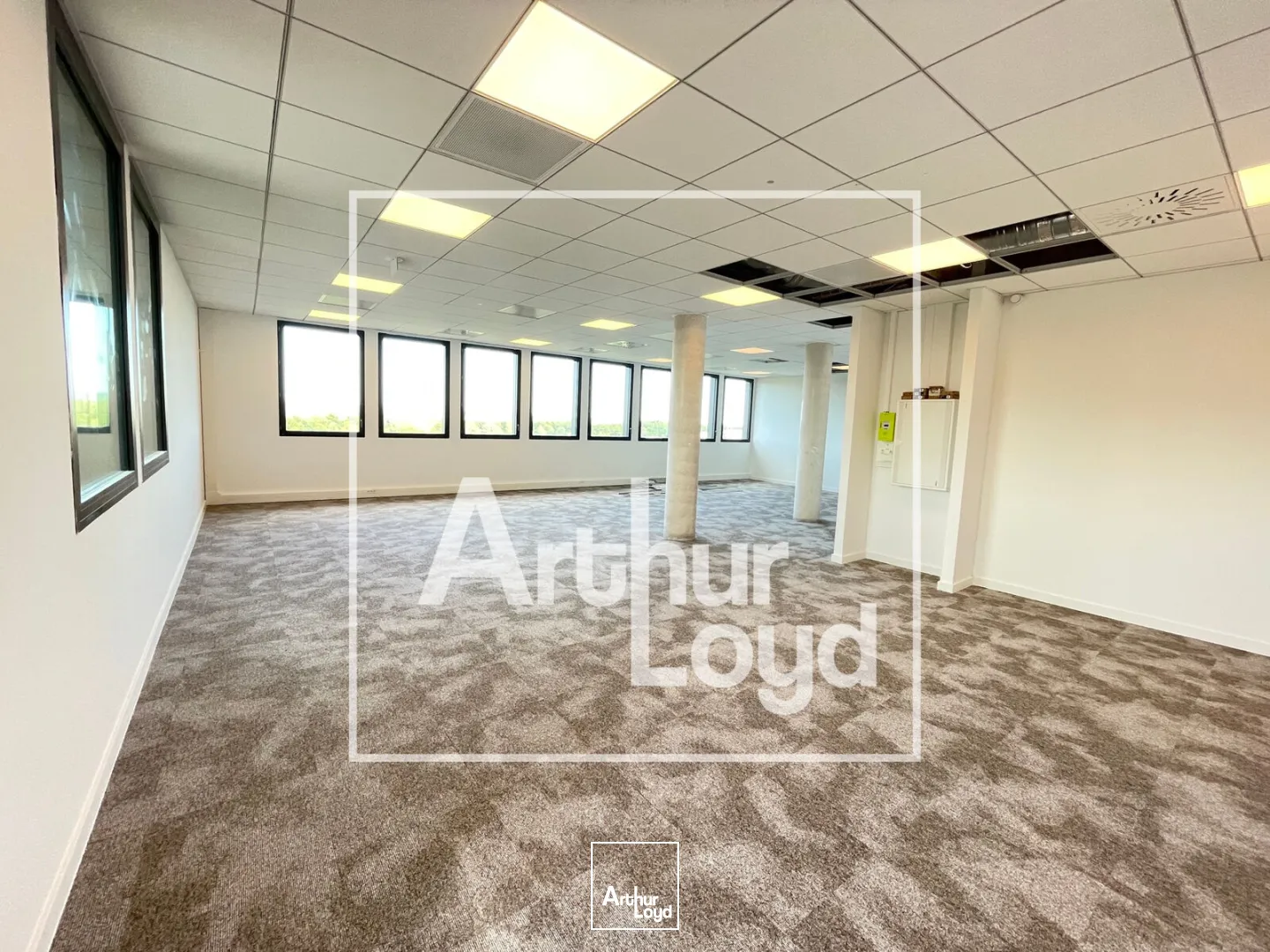 Bureaux - Location - CASTELNAU LE LEZ - 34170 - 119-119 - 7956283