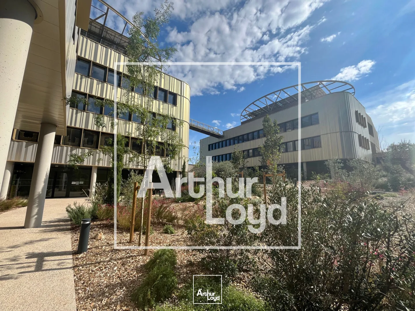 Bureaux - Location - CASTELNAU LE LEZ - 34170 - 119-119 - 7956280