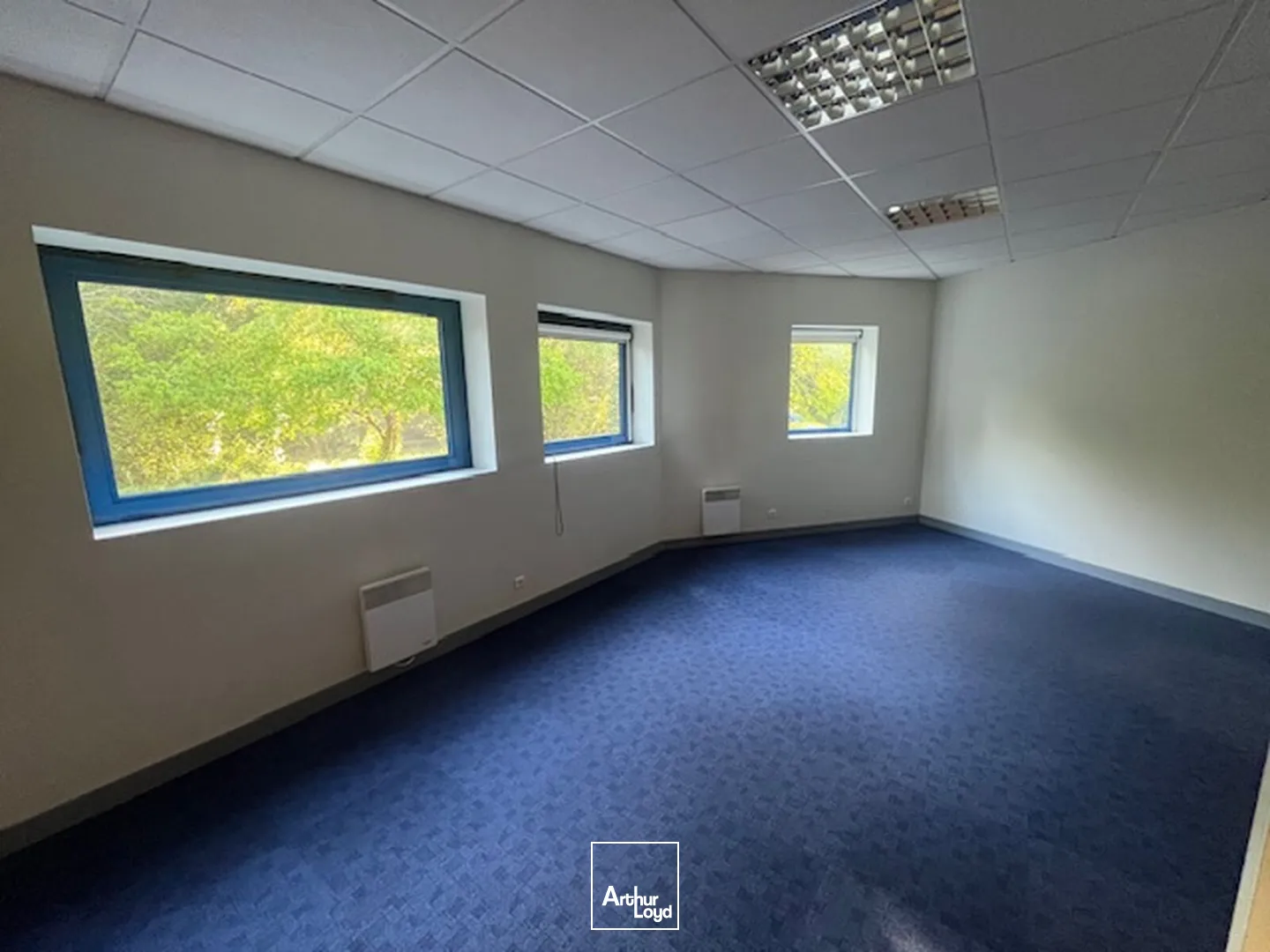 Bureaux - Location - QUIMPER - 29000 - 170-170 - 7956304