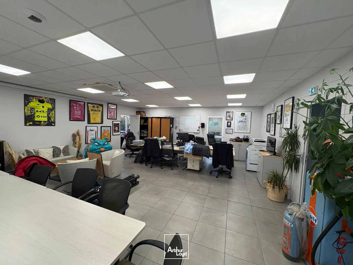 Bureaux - Location - OLIVET - 45160 - 153-153 - 7956663
