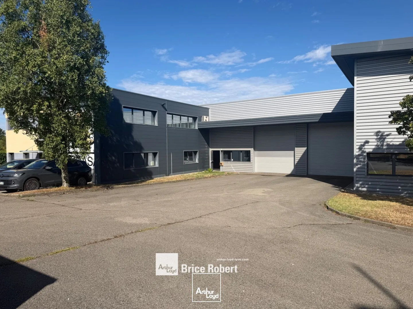 Locaux d'activité & Entrepôts - Vente - RILLIEUX LA PAPE - 69140 - 1995-1995 - 7956816