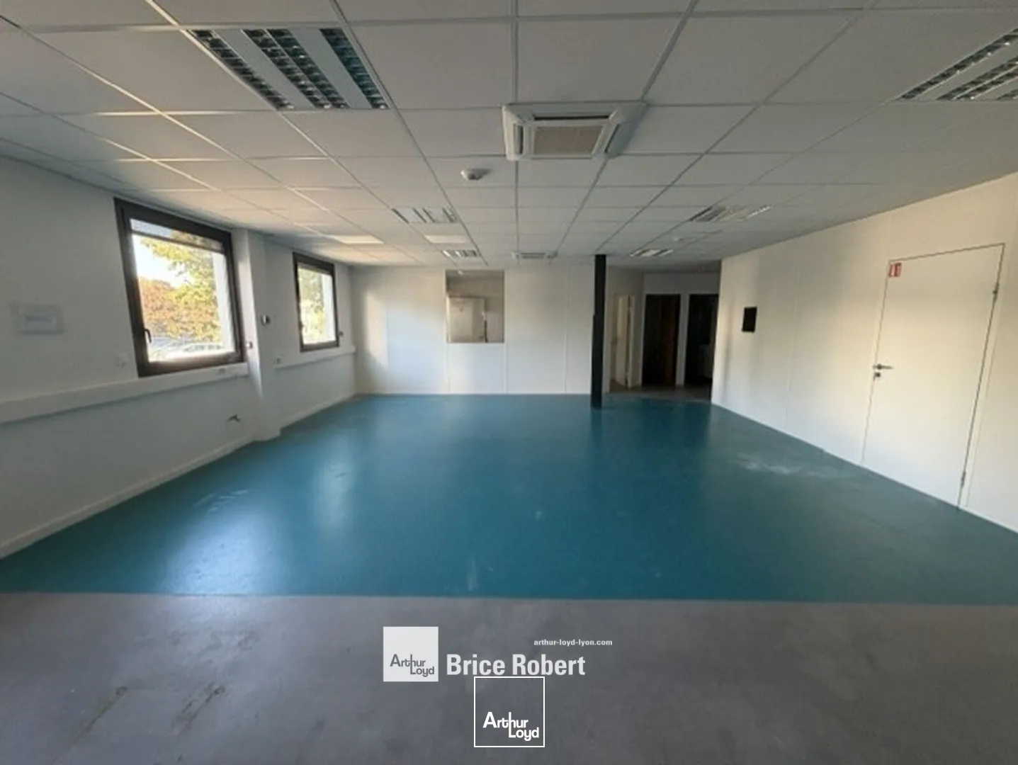 Bureaux - Location - CHAMPAGNE AU MONT D'OR - 69410 - 134-134 - 7956830
