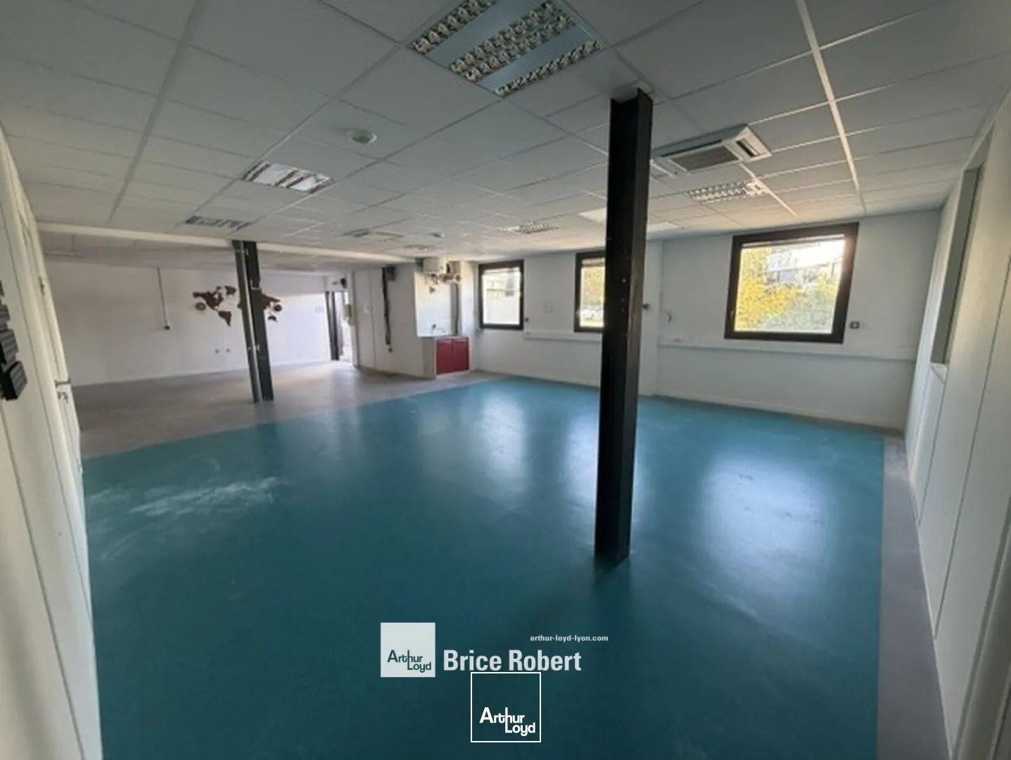Bureaux - Location - CHAMPAGNE AU MONT D'OR - 69410 - 134-134 - 7956831