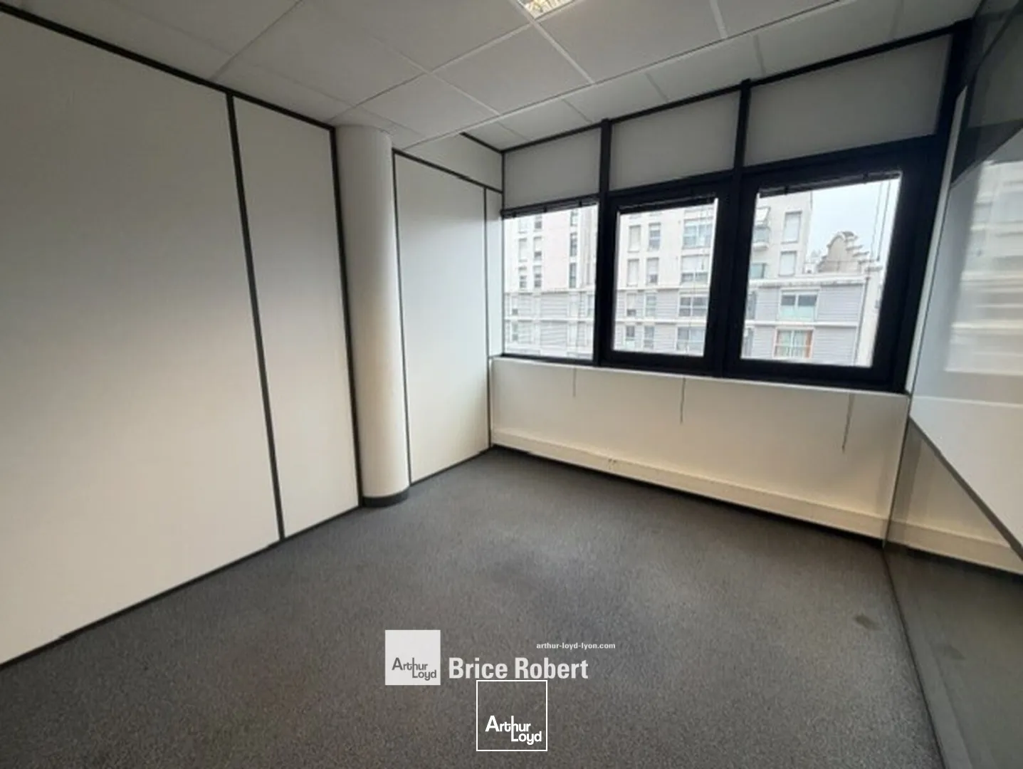 Bureaux - Location - LYON - 69007 - 201-547 - 7956839