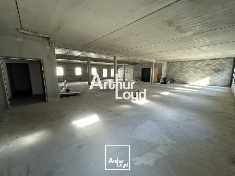 Locaux d'activité & Entrepôts - Vente - FREJUS - 83600 - 1252-1252 - 7956942