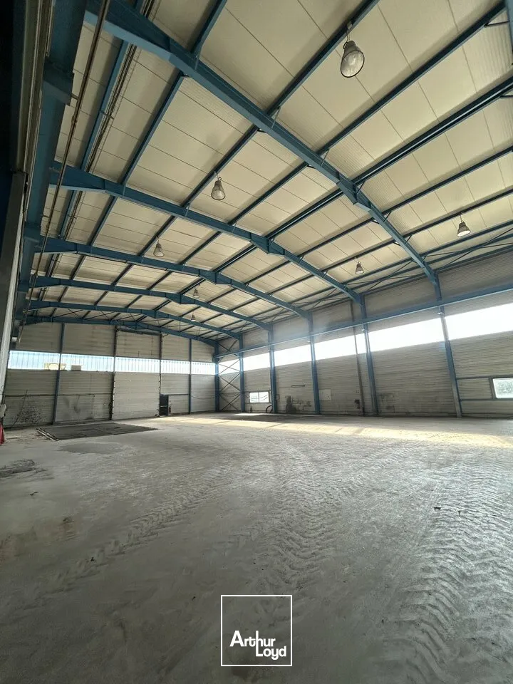 Locaux d'activité & Entrepôts - Location - SAINTE-HÉLÈNE-DU-LAC - 73800 - 1200-3200 - 7957810