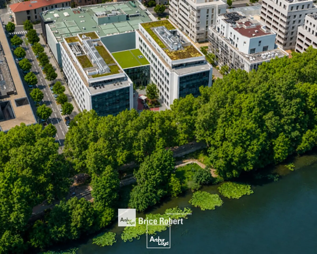 Bureaux - Location - LYON - 69009 - 183-512 - 7958019