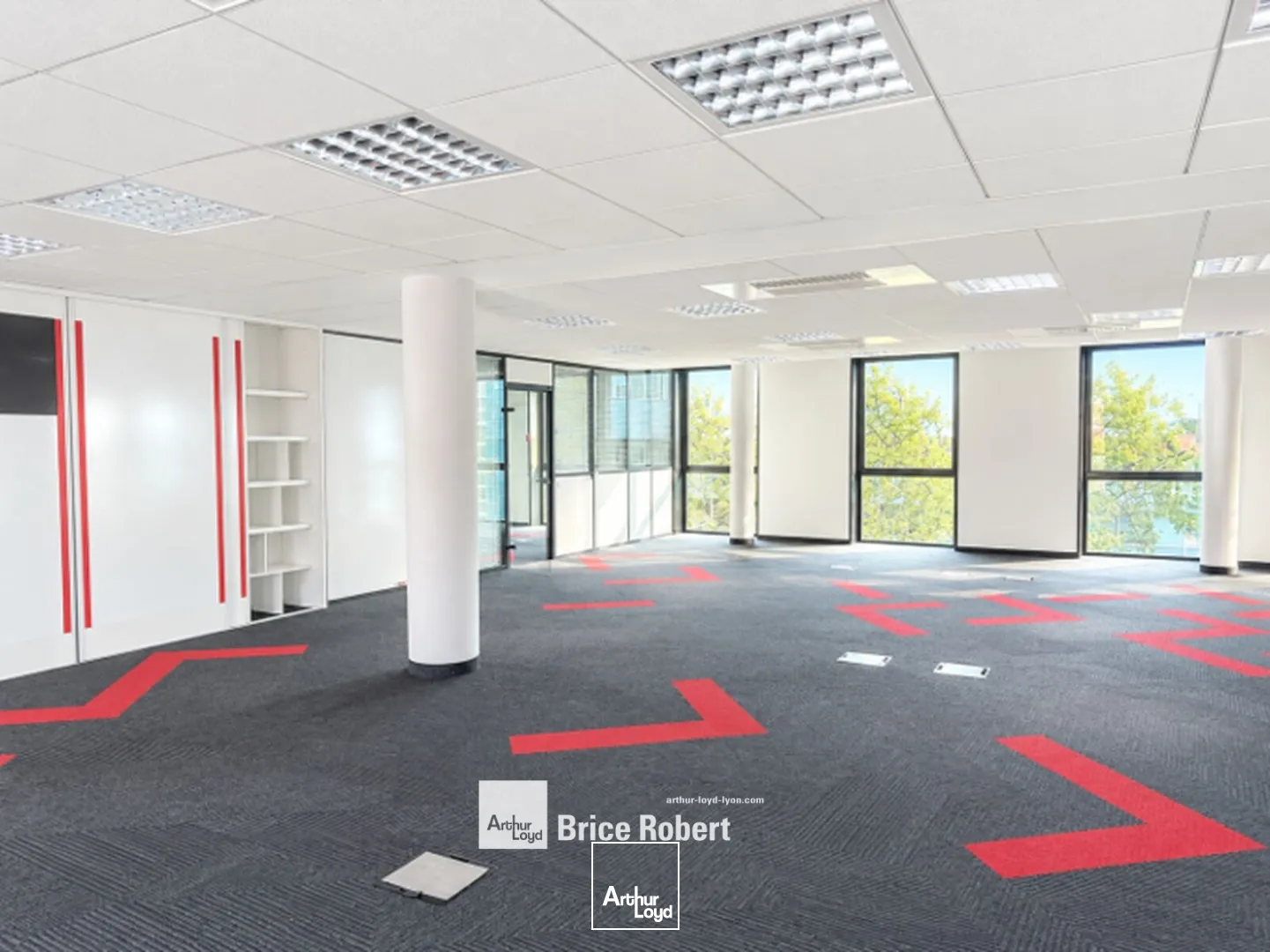 Bureaux - Location - LYON - 69007 - 231-729 - 7958028