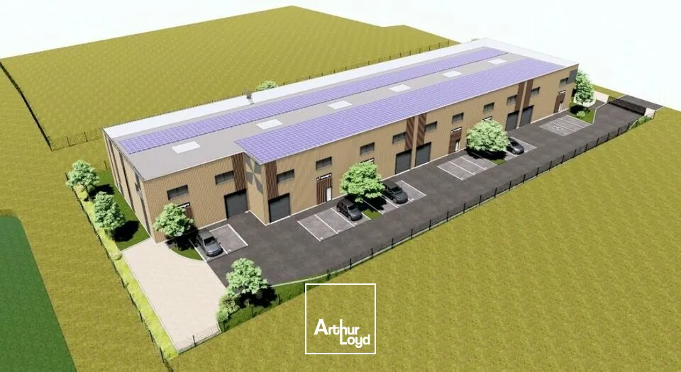 Locaux d'activité & Entrepôts - Vente - NUITS SAINT GEORGES - 21700 - 263-1945 - 7958130