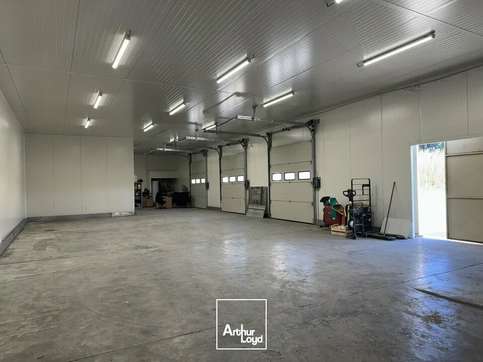 Locaux d'activité & Entrepôts - Vente - NOVES - 13550 - 1600-1600 - 7958174