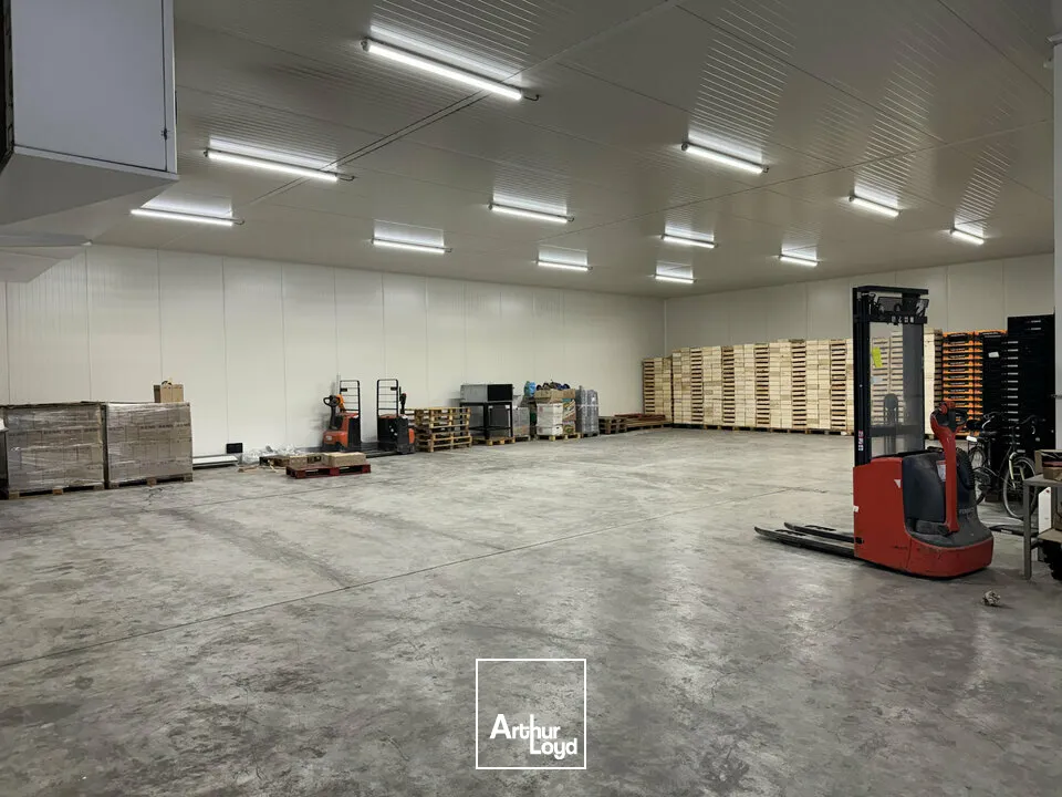 Locaux d'activité & Entrepôts - Vente - NOVES - 13550 - 1600-1600 - 7958175