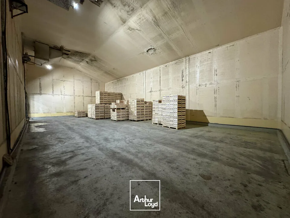 Locaux d'activité & Entrepôts - Vente - NOVES - 13550 - 1600-1600 - 7958177