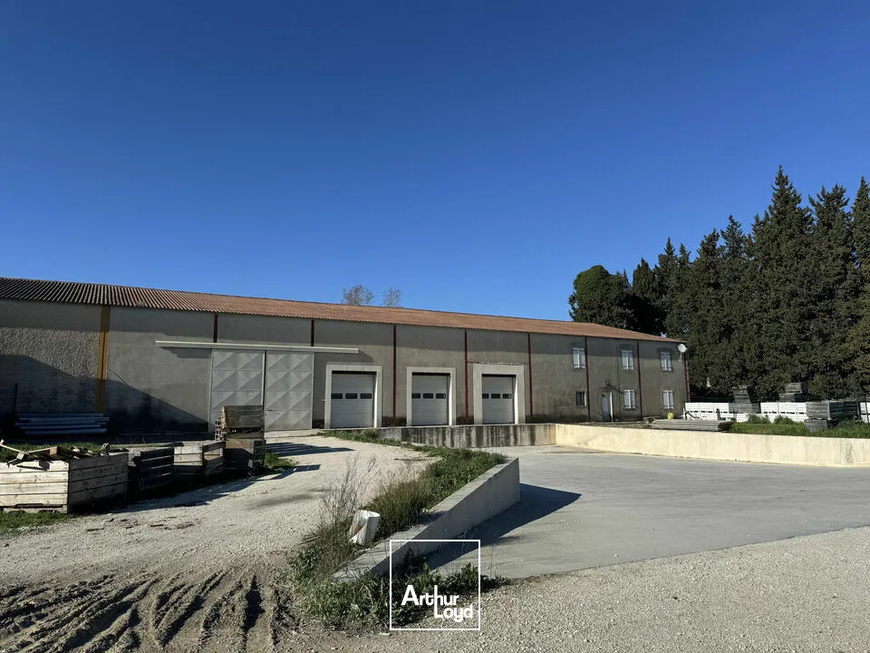 Locaux d'activité & Entrepôts - Vente - NOVES - 13550 - 1600-1600 - 7958172