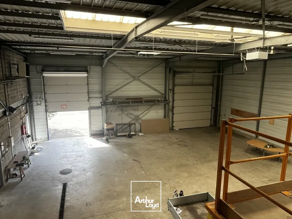 Locaux d'activité & Entrepôts - Vente - HAGUENAU - 67500 - 880-880 - 7958202