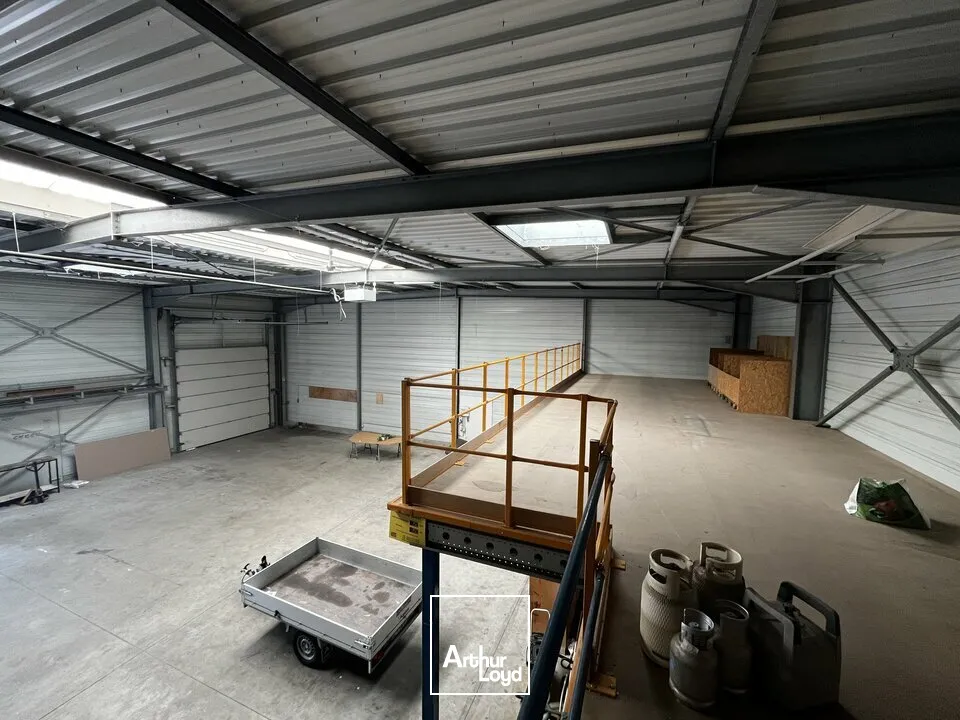 Locaux d'activité & Entrepôts - Vente - HAGUENAU - 67500 - 880-880 - 7958203