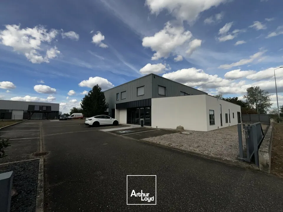 Locaux d'activité & Entrepôts - Vente - HAGUENAU - 67500 - 880-880 - 7958201
