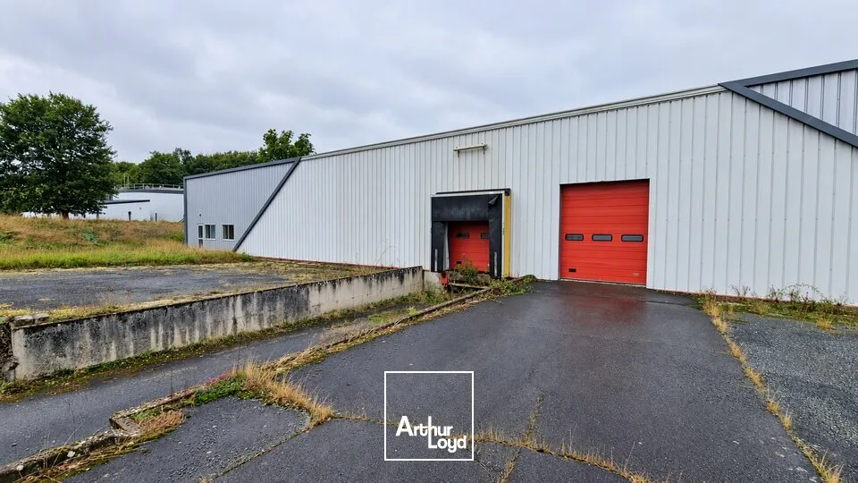 Locaux d'activité & Entrepôts - Vente - LIGUGÉ - 86240 - 1553-1553 - 7958265