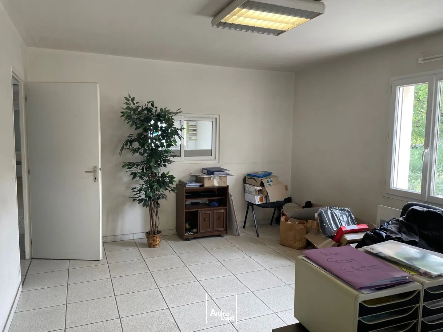 Locaux d'activité & Entrepôts - Vente - LE BIGNON - 44140 - 920-920 - 7958735