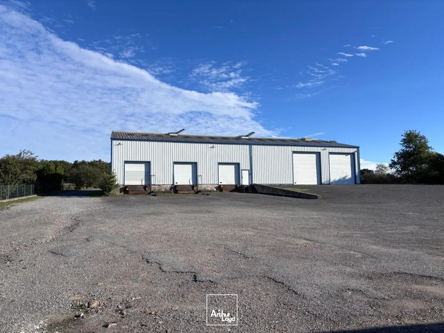 Locaux d'activité & Entrepôts - Vente - LE BIGNON - 44140 - 920-920 - 7958733