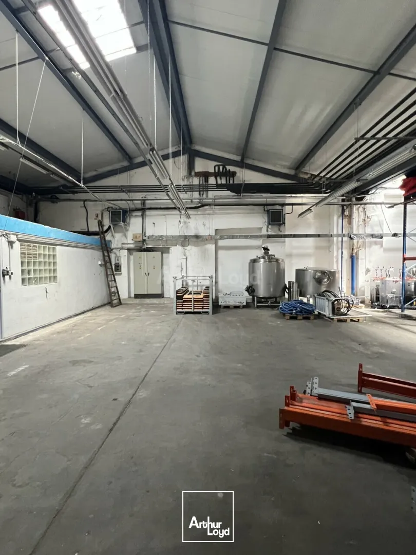 Locaux d'activité & Entrepôts - Location - COLMAR - 68000 - 100-1519 - 7959282