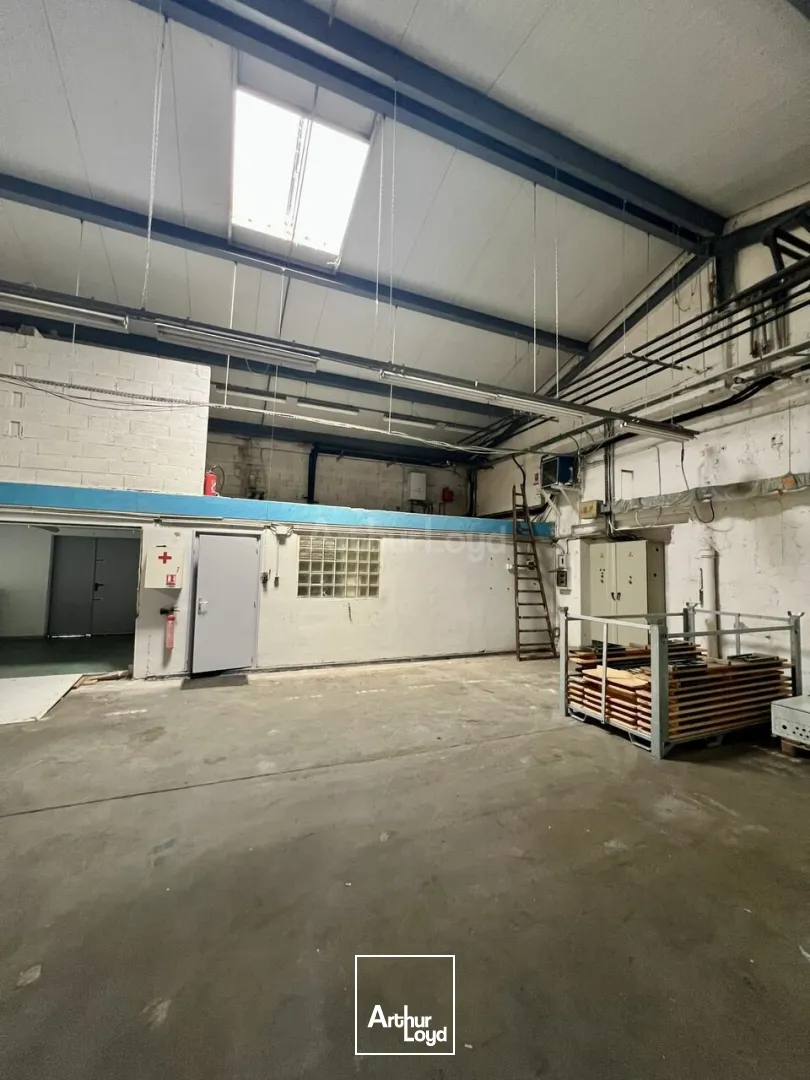 Locaux d'activité & Entrepôts - Location - COLMAR - 68000 - 100-1519 - 7959281