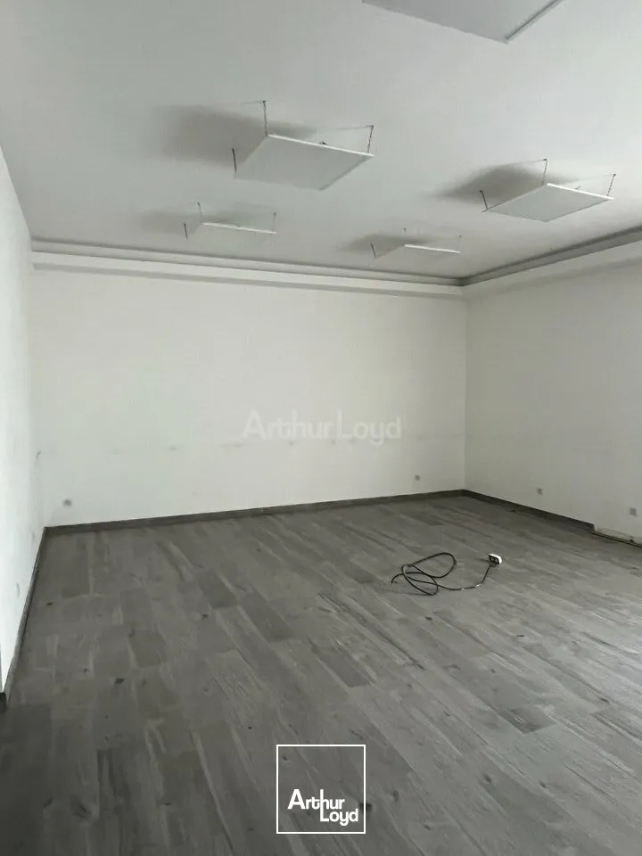 Locaux d'activité & Entrepôts - Location - COLMAR - 68000 - 100-1519 - 7959285