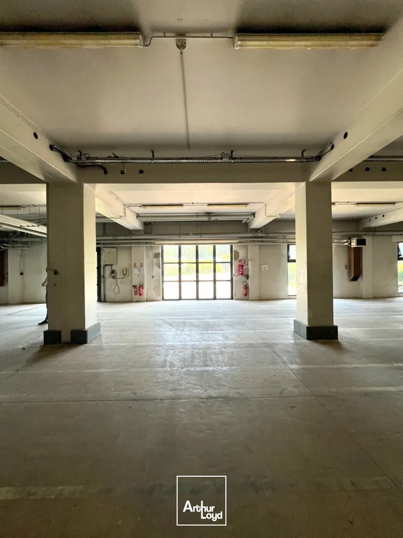 Locaux d'activité & Entrepôts - Location - COLMAR - 68000 - 50-1497 - 7959288