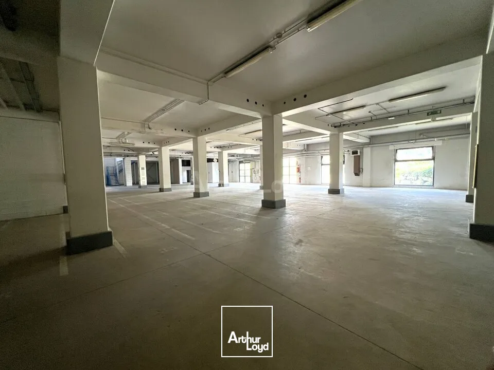 Locaux d'activité & Entrepôts - Location - COLMAR - 68000 - 50-1497 - 7959293