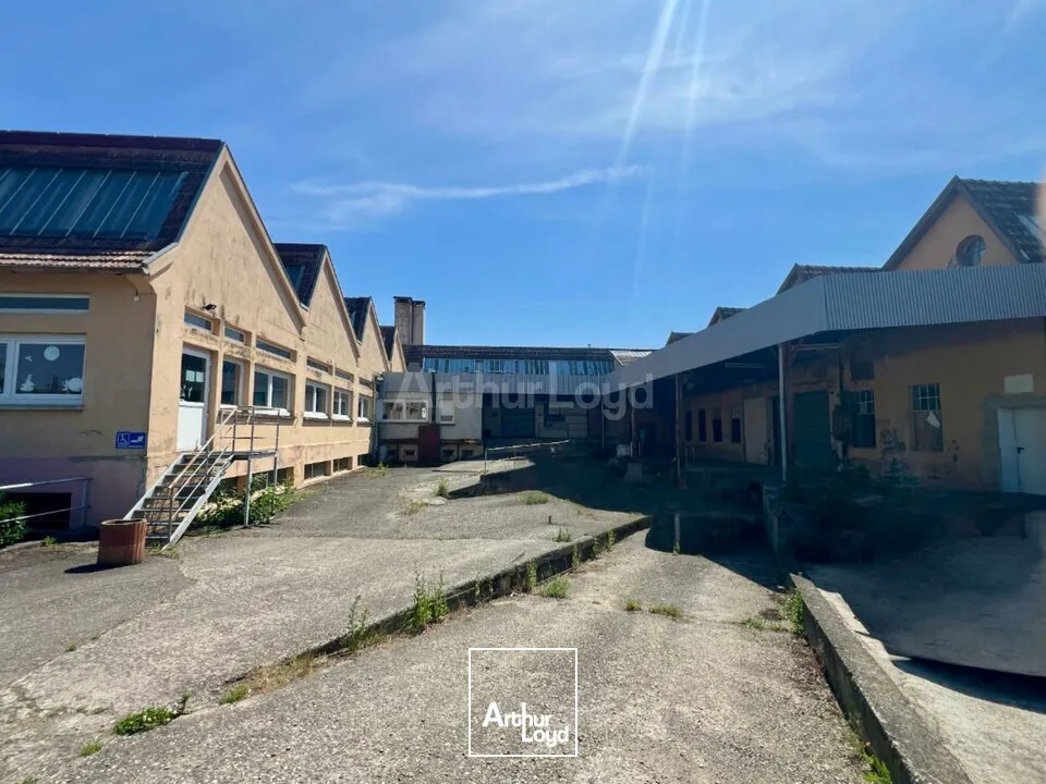 Locaux d'activité & Entrepôts - Location - WINTZENHEIM - 68920 - 125-1247 - 7959304