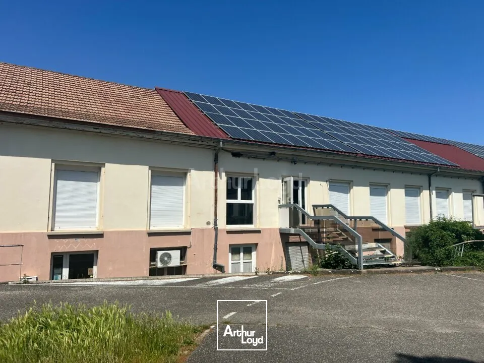 Locaux d'activité & Entrepôts - Location - WINTZENHEIM - 68920 - 125-1247 - 7959305