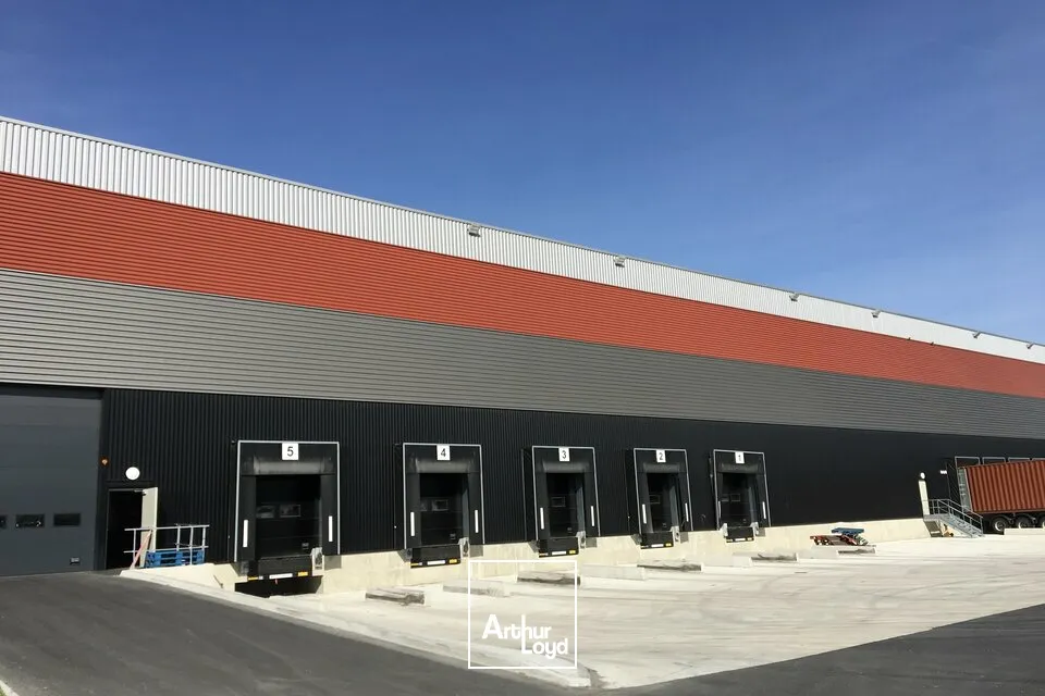 Locaux d'activité & Entrepôts - Location - OUDALLE - 76430 - 5731-11486 - 7959398