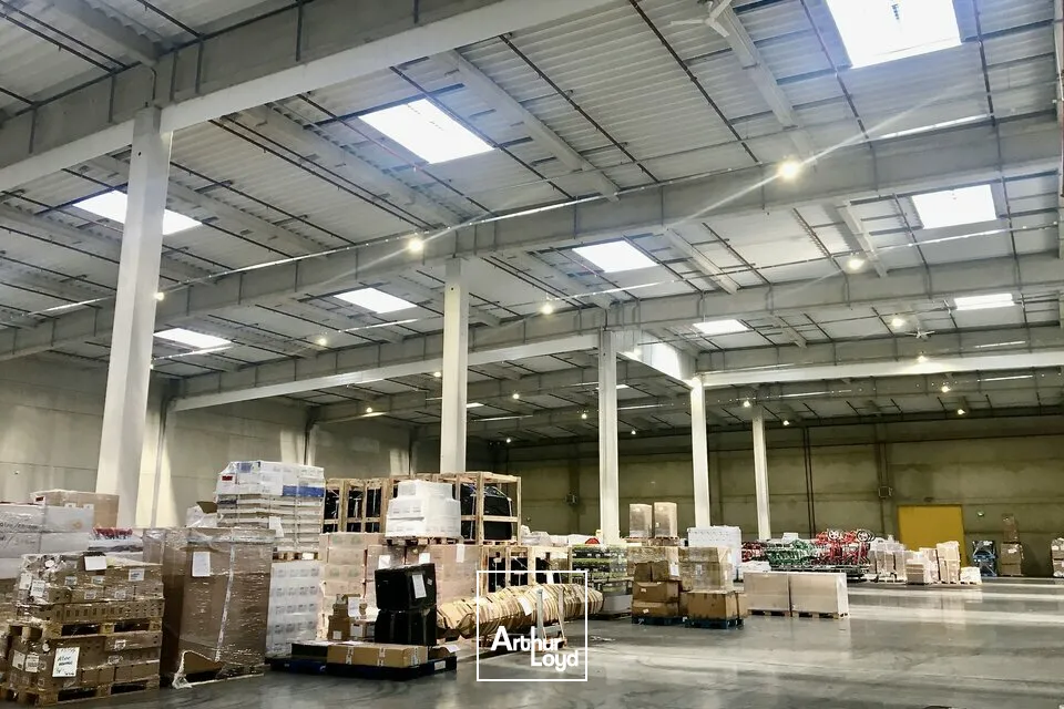 Locaux d'activité & Entrepôts - Location - OUDALLE - 76430 - 5731-11486 - 7959399