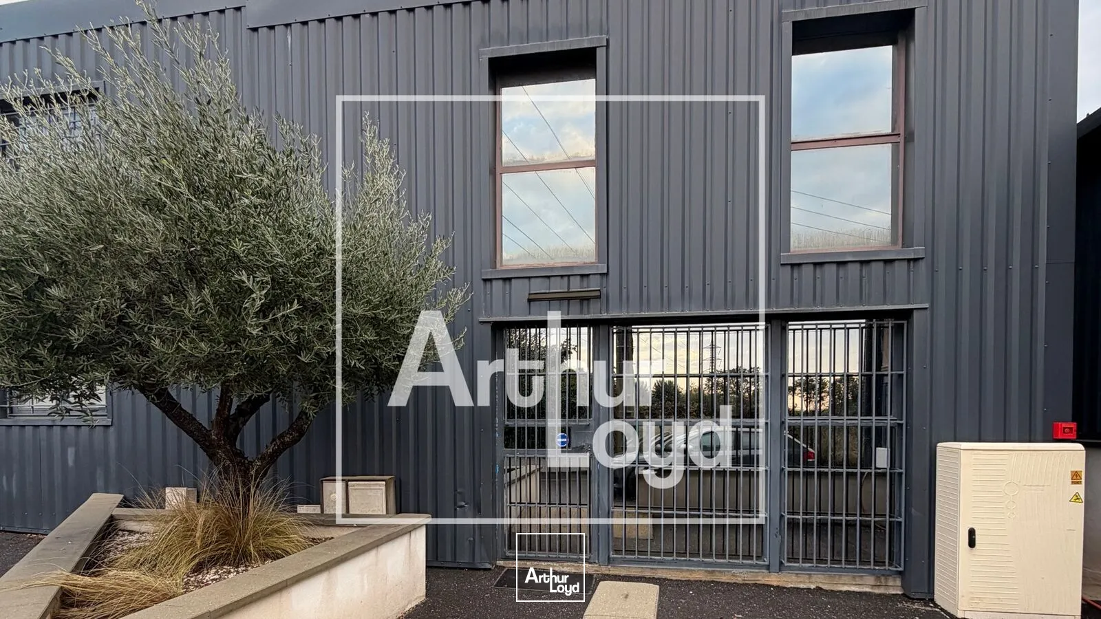 Locaux d'activité & Entrepôts - Location - SAINT JEAN DE VEDAS - 34430 - 115-115 - 7959555