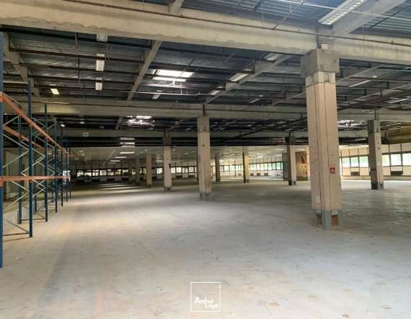 Locaux d'activité & Entrepôts - Location - CANEJAN - 33610 - 746-5266 - 7959615