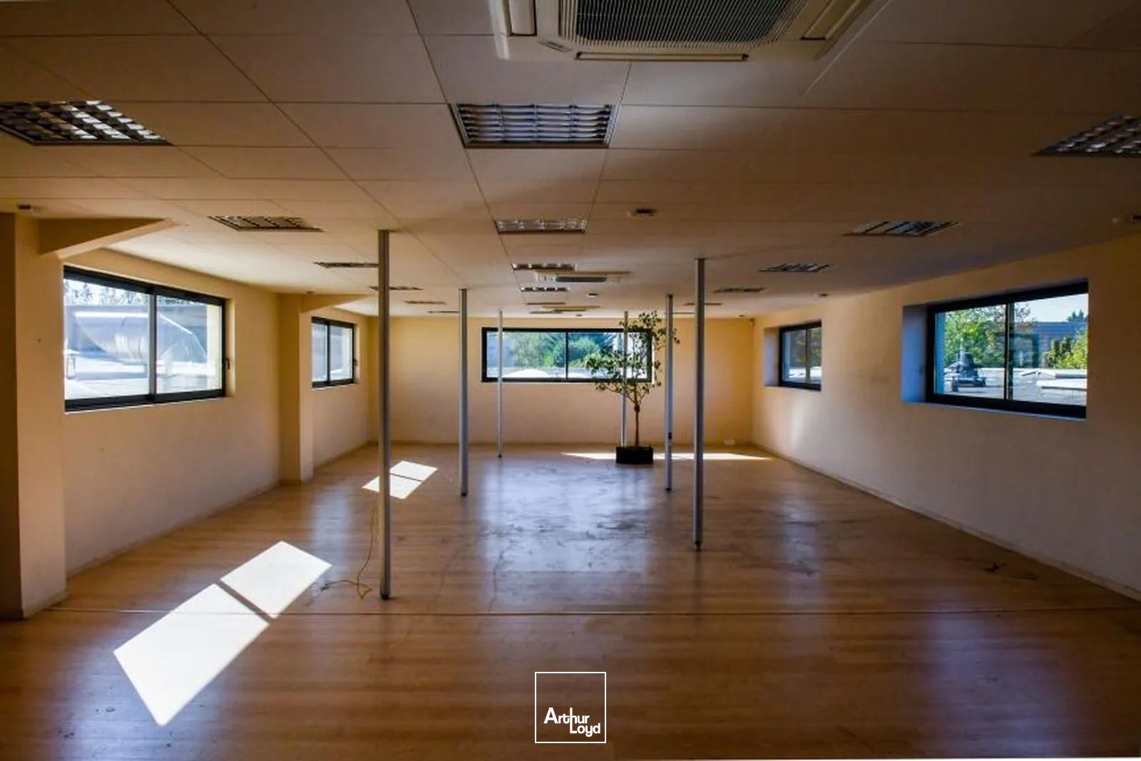 Locaux d'activité & Entrepôts - Location - LES ULIS - 91940 - 3009-3009 - 7959878