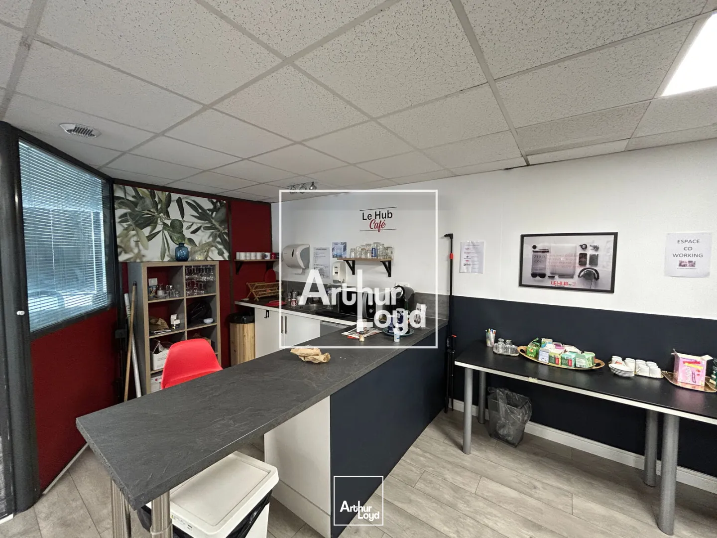 Bureaux - Location - TOULOUSE - 31000 - 205-205 - 7960032