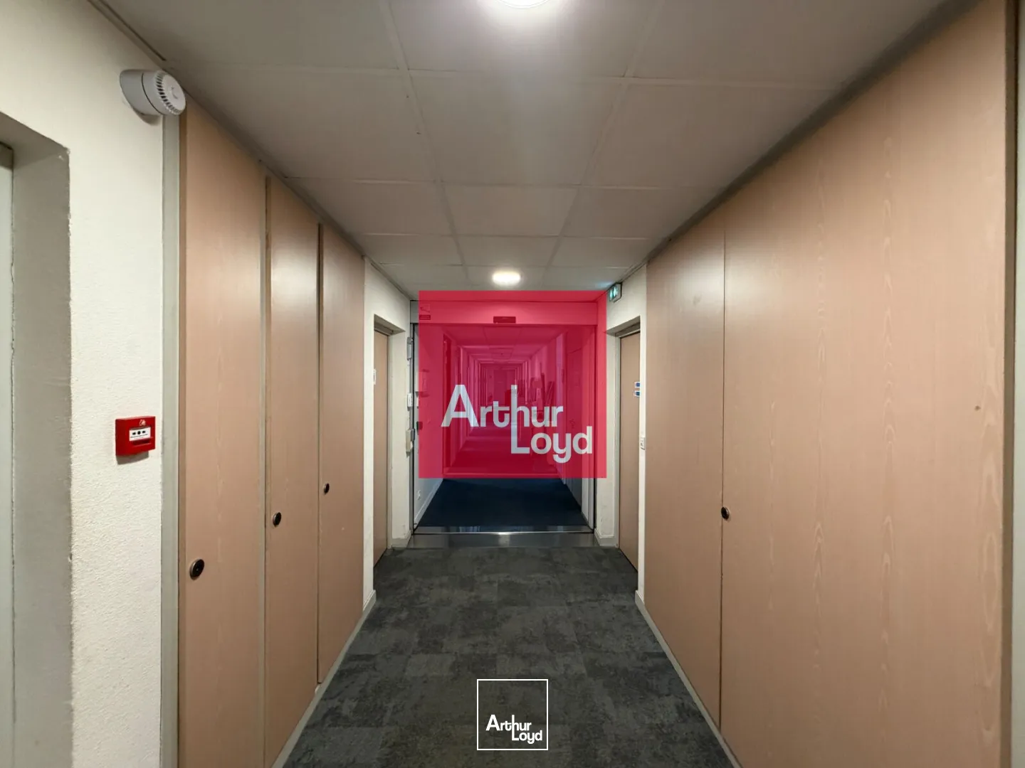 Bureaux - Location - GRENOBLE - 38000 - 437.5-1163.3 - 7963104