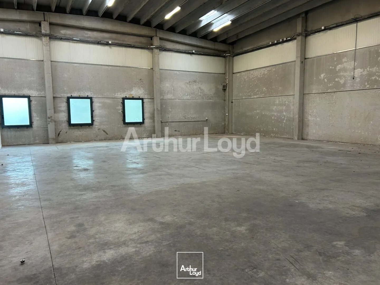 Locaux d'activité & Entrepôts - Location - TEMPLEMARS - 59175 - 545-545 - 7967320