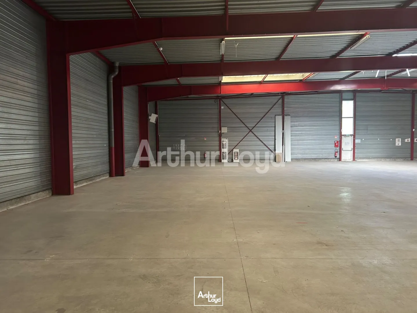 Locaux d'activité & Entrepôts - Location - AVELIN - 59710 - 1064-2964 - 7967461