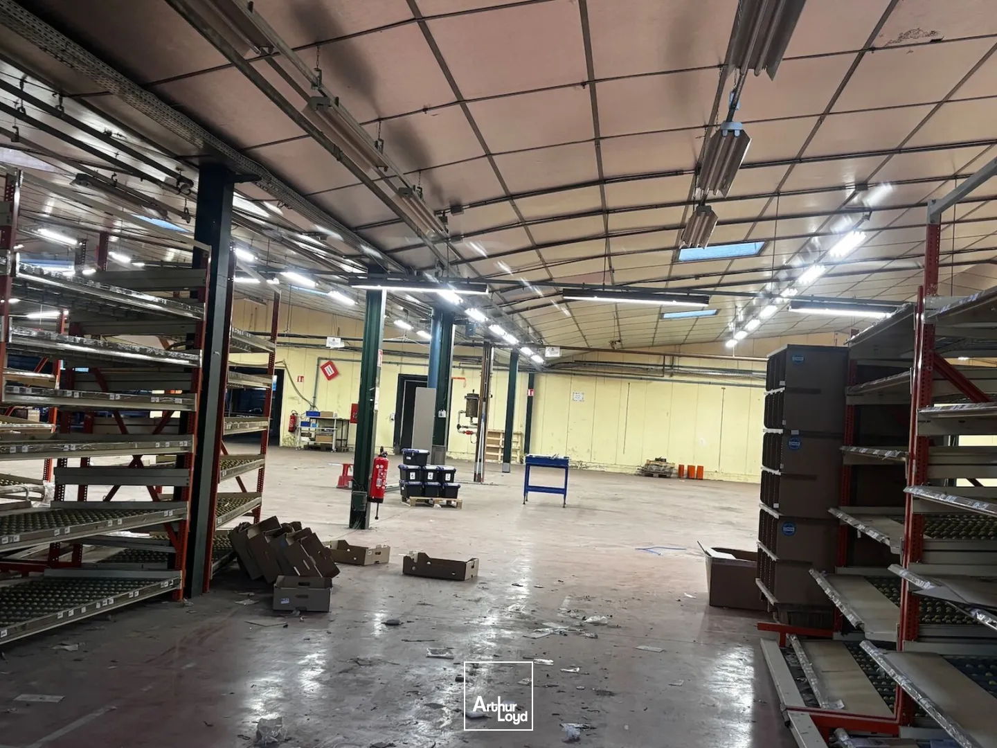 Locaux d'activité & Entrepôts - Vente - SAINT GALMIER - 42330 - 262-2755 - 7967684