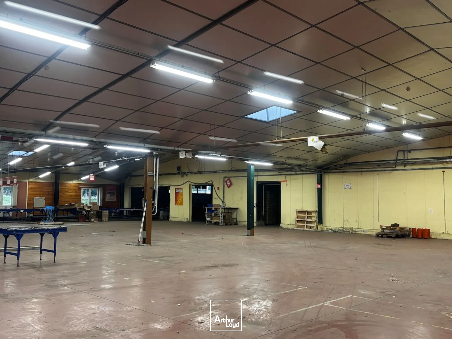 Locaux d'activité & Entrepôts - Vente - SAINT GALMIER - 42330 - 262-2755 - 7967682