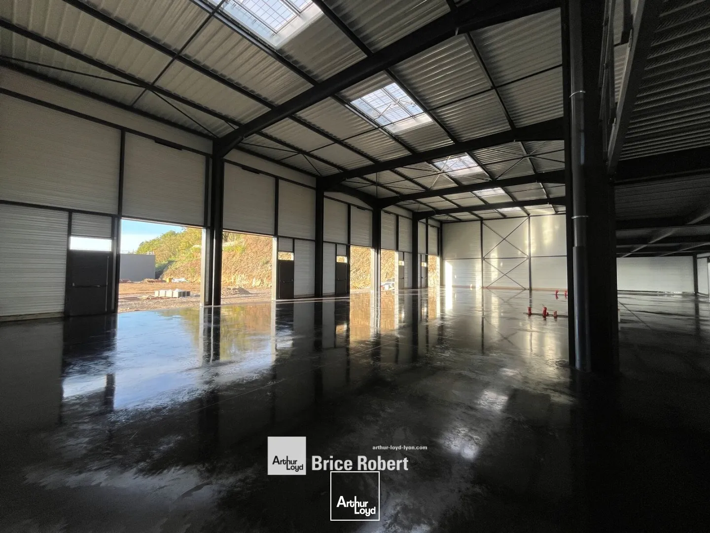 Locaux d'activité & Entrepôts - Location - CHAPONOST - 69630 - 183.5-183.5 - 7969582