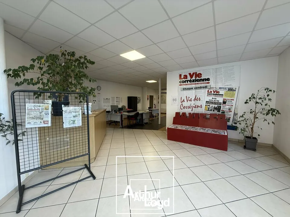 Bureaux - Location - BRIVE-LA-GAILLARDE - 19100 - 260-260 - 7969646