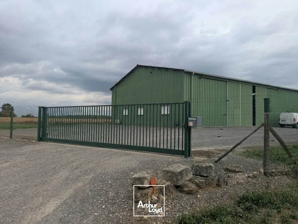 Locaux d'activité & Entrepôts - Vente - ASLONNES - 86340 - 787-787 - 7979391