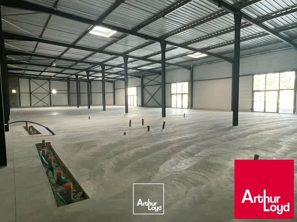 Locaux commerciaux - Vente - BENESSE MAREMNE - 40230 - 384-790 - 7979406