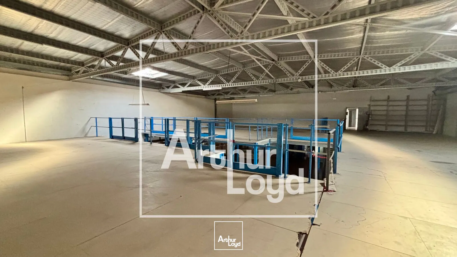 Locaux d'activité & Entrepôts - Vente - MONTPELLIER - 34080 - 2934.73-2934.73 - 7979618