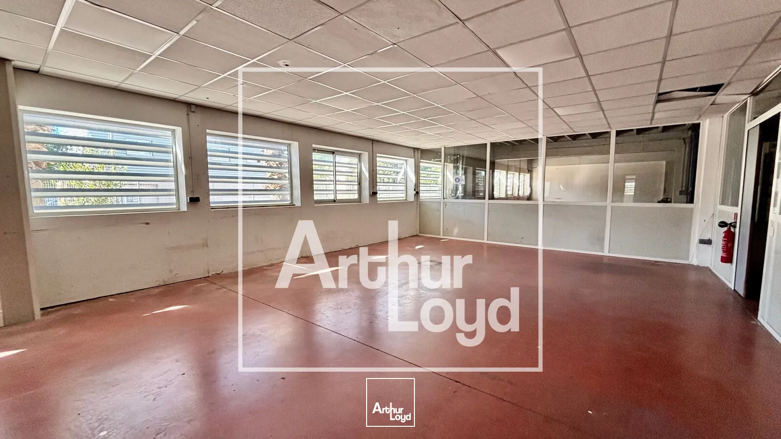 Locaux d'activité & Entrepôts - Vente - MONTPELLIER - 34080 - 2934.73-2934.73 - 7979615