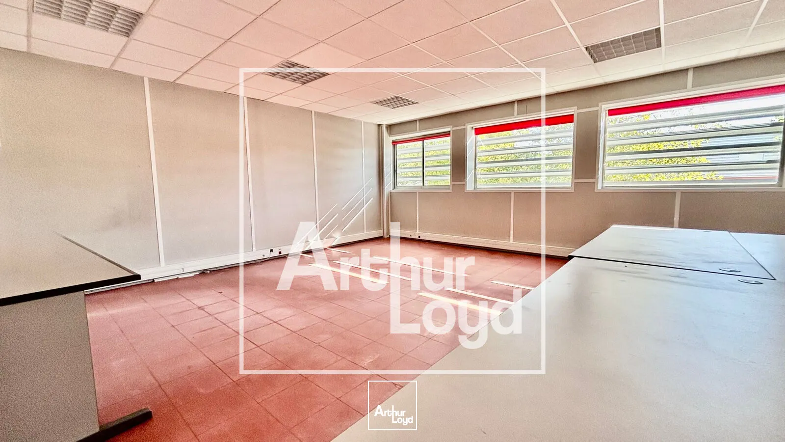 Locaux d'activité & Entrepôts - Vente - MONTPELLIER - 34080 - 2934.73-2934.73 - 7979616